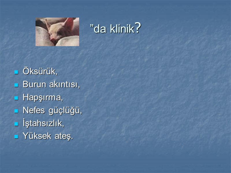 ”da klinik?  Öksürük, Burun akıntısı, Hapşırma, Nefes güçlüğü, İştahsızlık, Yüksek ateş.